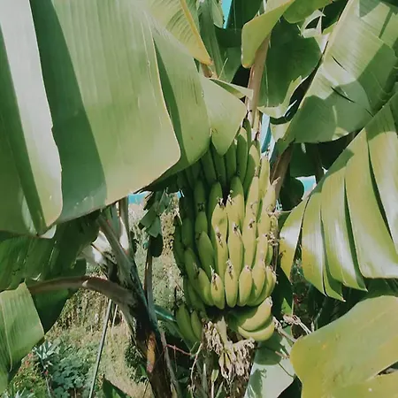 Hébergement de vacances In With Ocean Views