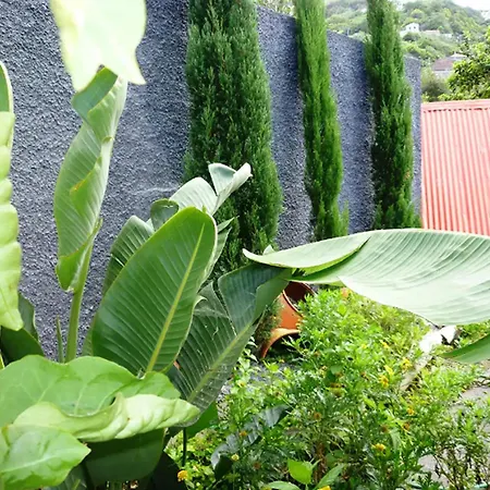 Hébergement de vacances In With Ocean Views