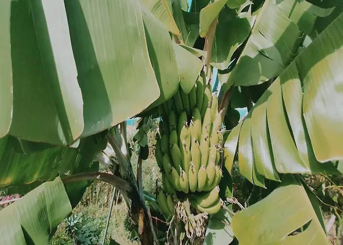 Сasa de vacaciones In With Ocean Views