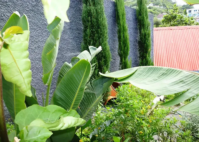 Сasa de vacaciones In With Ocean Views